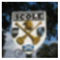 Scole Parish Council logo